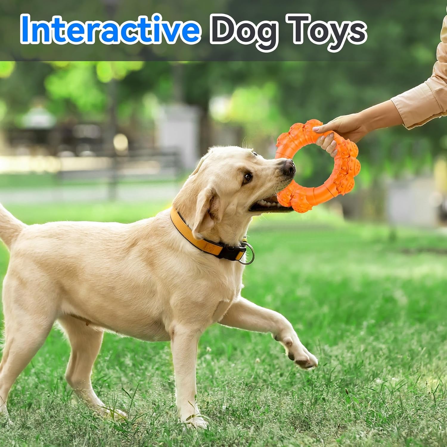 Indestructible Dog Chew Ring Toys for Aggressive Chewers, Super Chewer Dog Toys