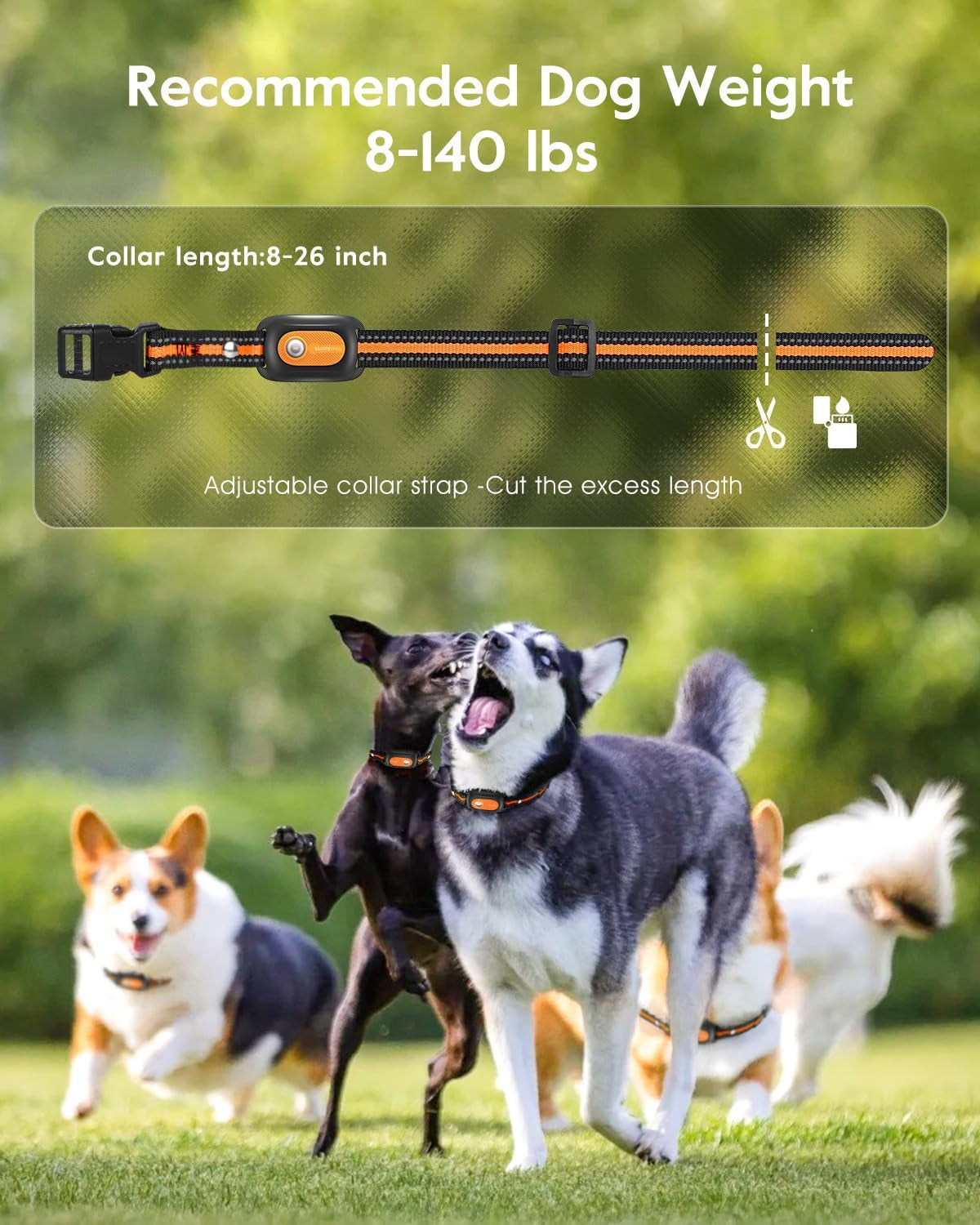 Dog Shock Collar,4200Ft Dog Training Collar with Remote,Ipx8 Waterproof E-Collar with Beep,Vibration,Shock,Flash Light,No Shock Mode,Electric Shock Collar for Small Medium Large Dog,Orange