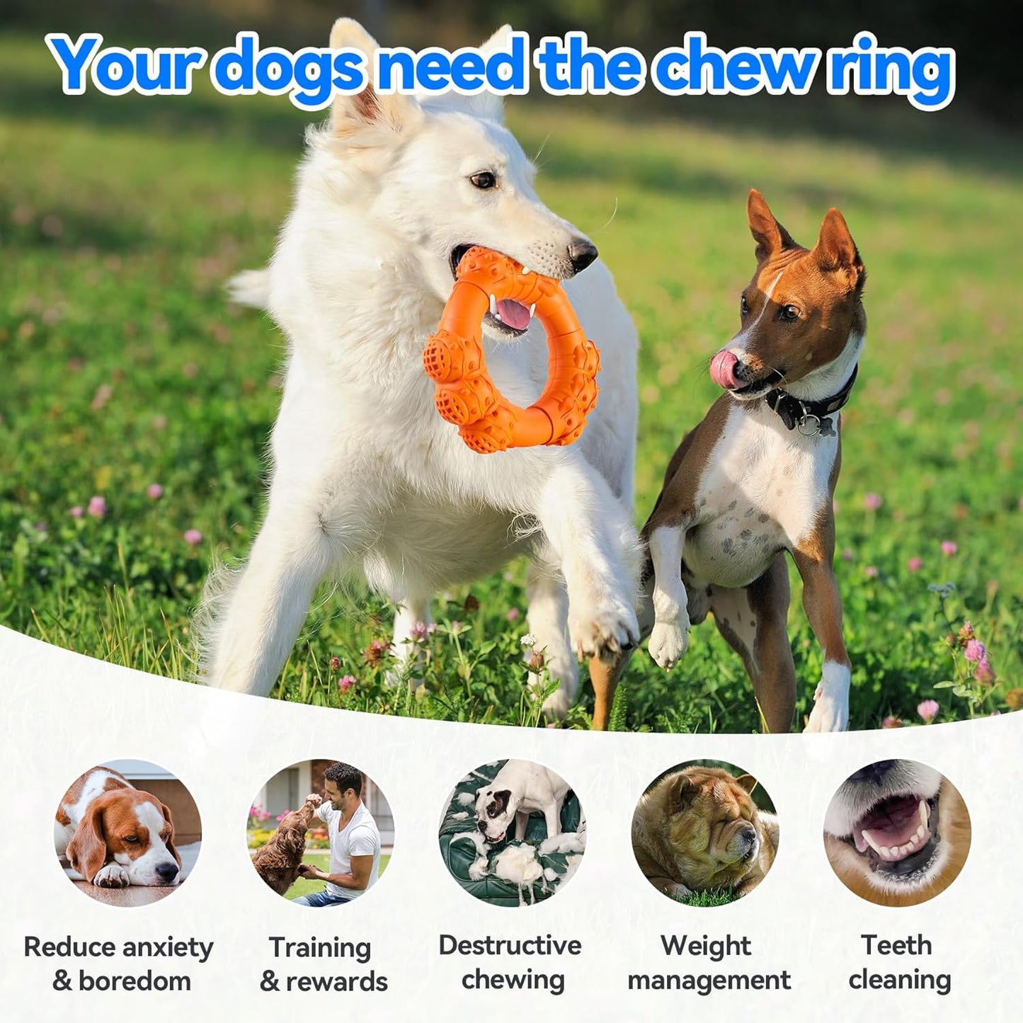 Indestructible Dog Chew Ring Toys for Aggressive Chewers, Super Chewer Dog Toys