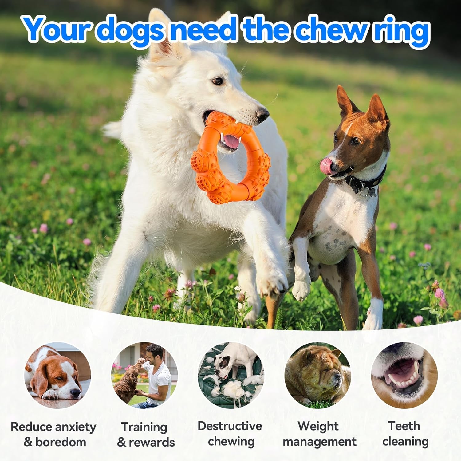 Indestructible Dog Chew Ring Toys for Aggressive Chewers, Super Chewer Dog Toys